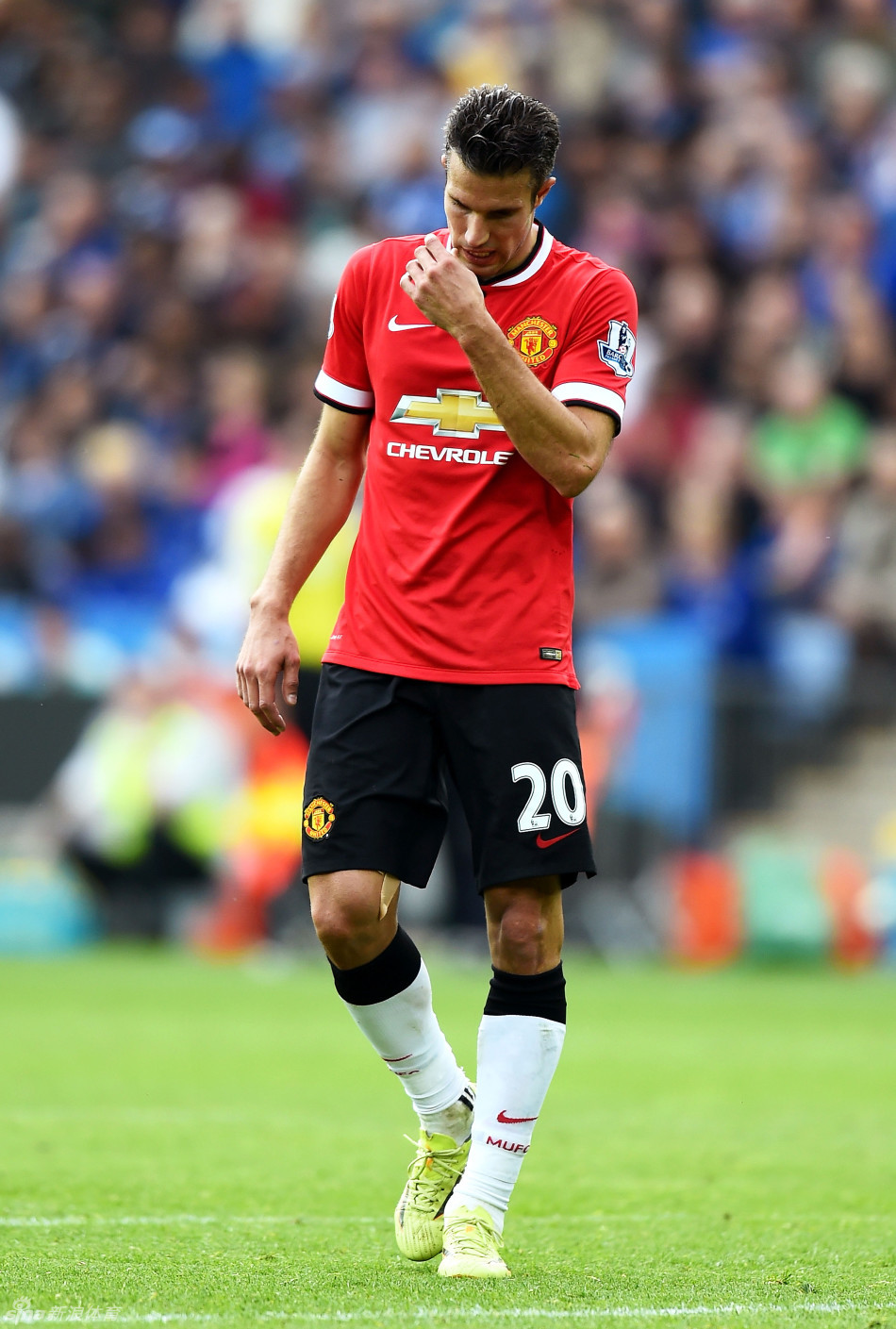 蒂格，我怀疑你是詹姆斯的黑粉....